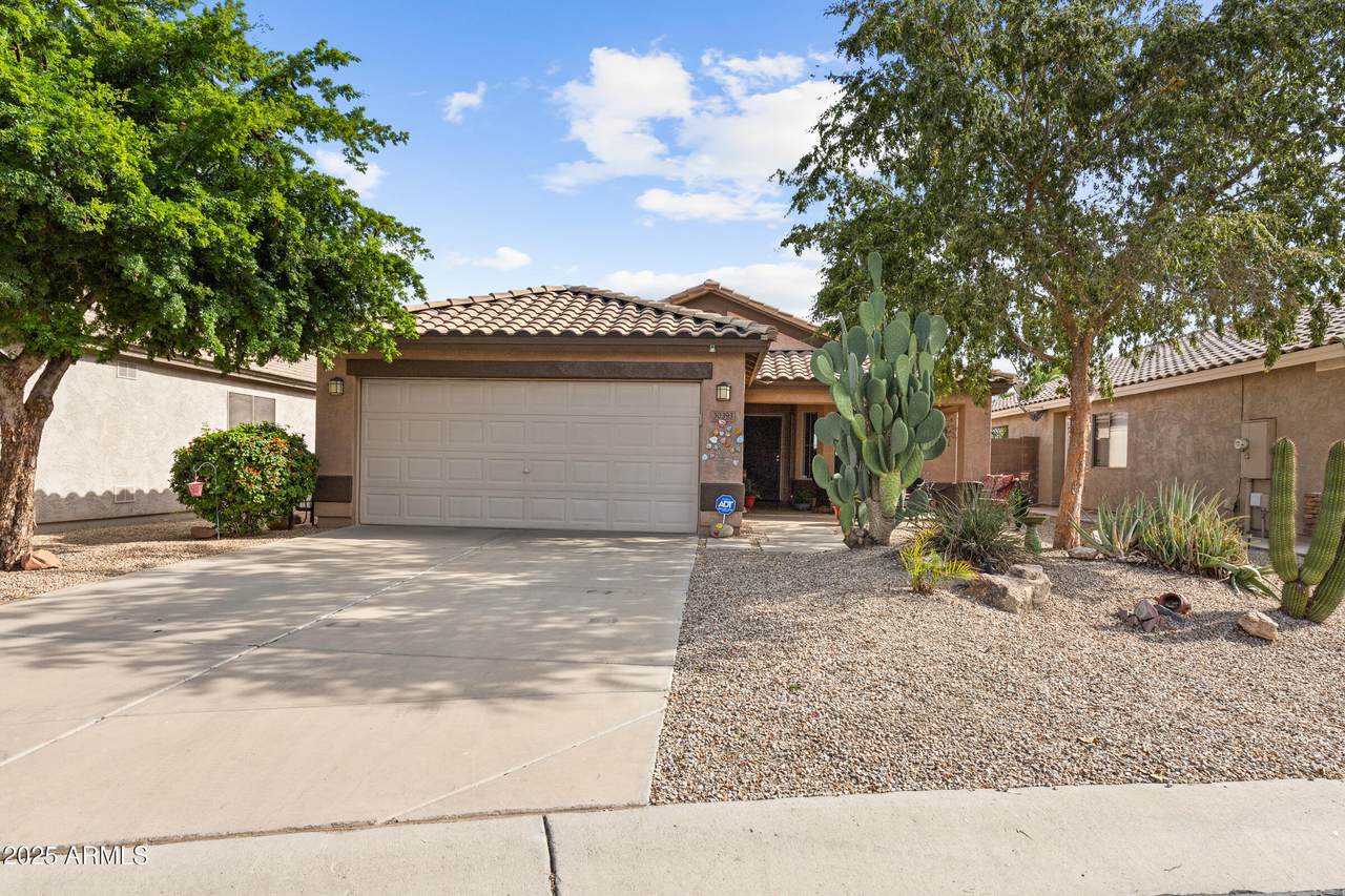 30393 Coral Bean Drive - Photo 1