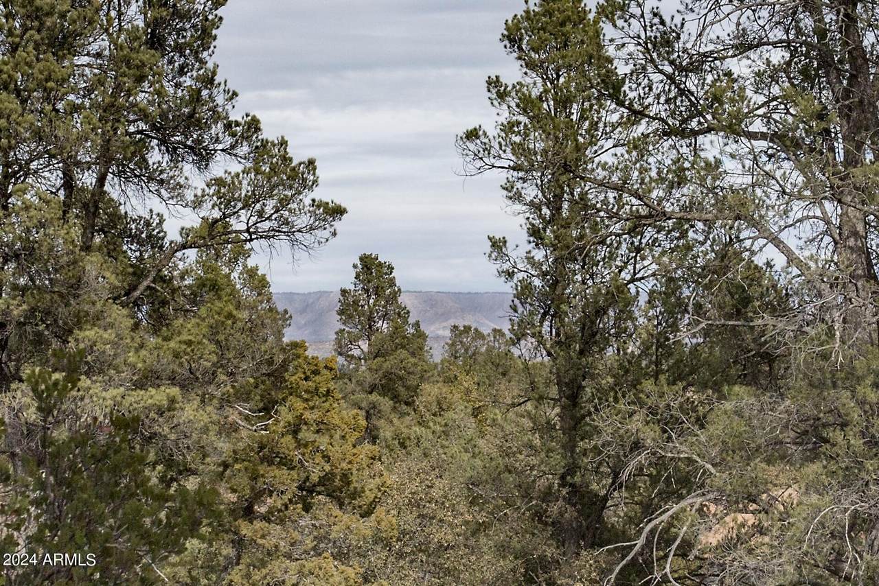 506 Rim Club Drive - Photo 1