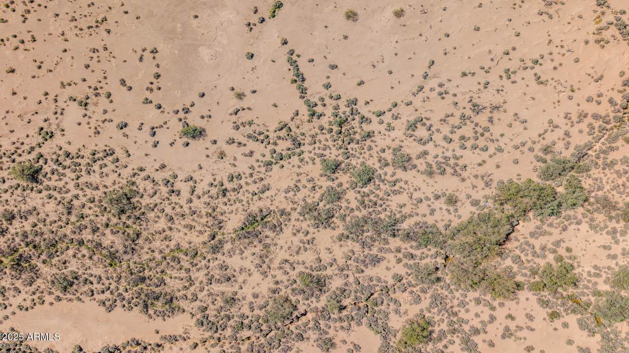 120 Horseshoe Trails - Photo 1