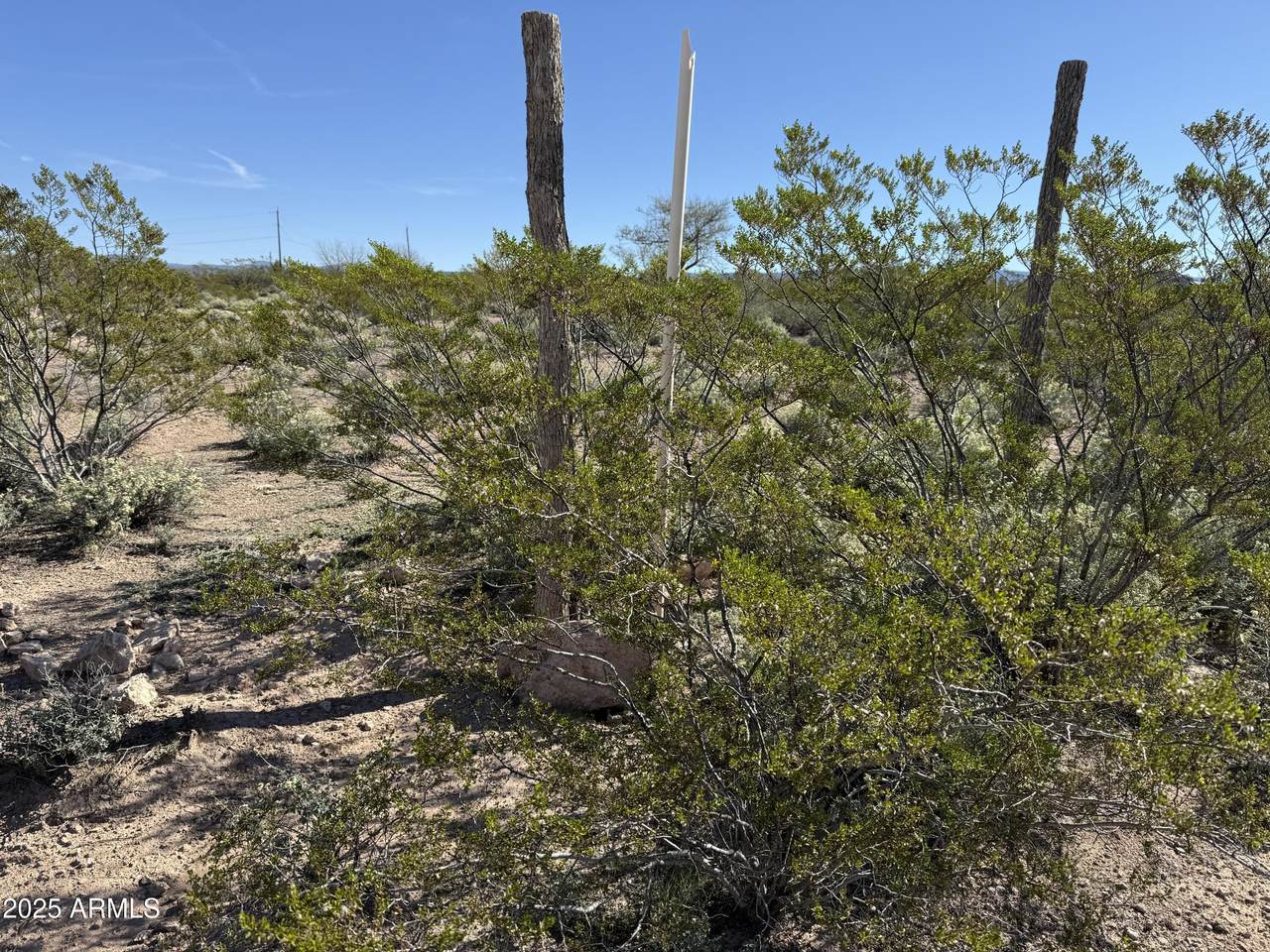 5164-J Camino Vista Drive - Photo 1