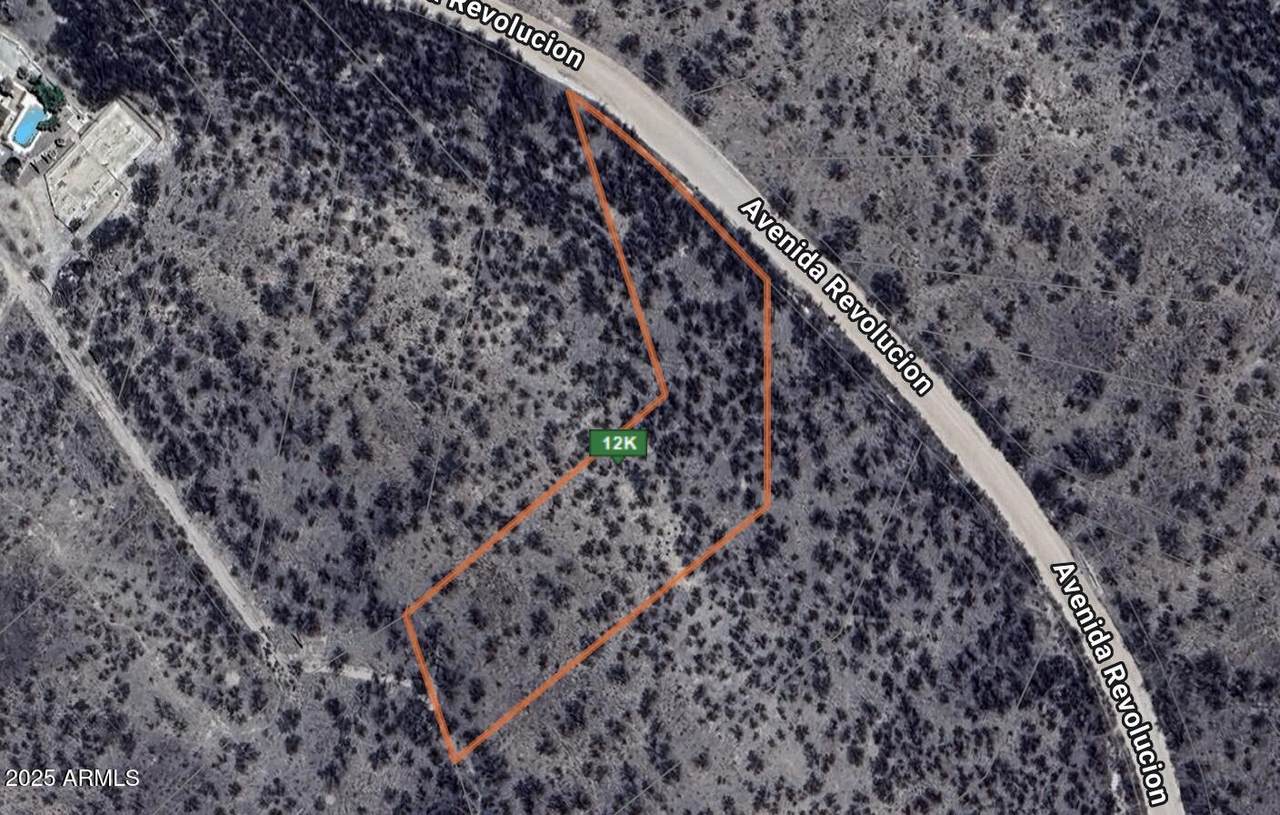 991 Avenida Revolucion - Photo 1