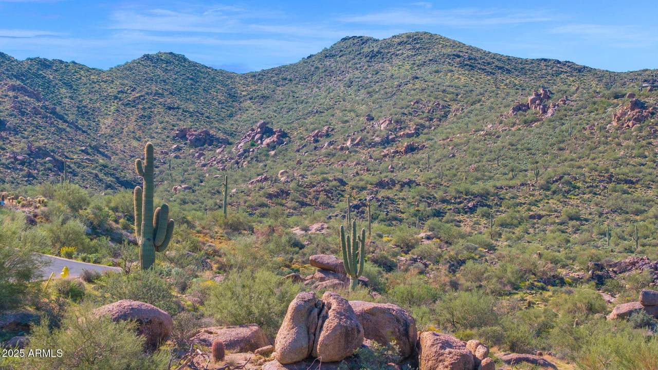 37292 Nighthawk Way - Photo 1