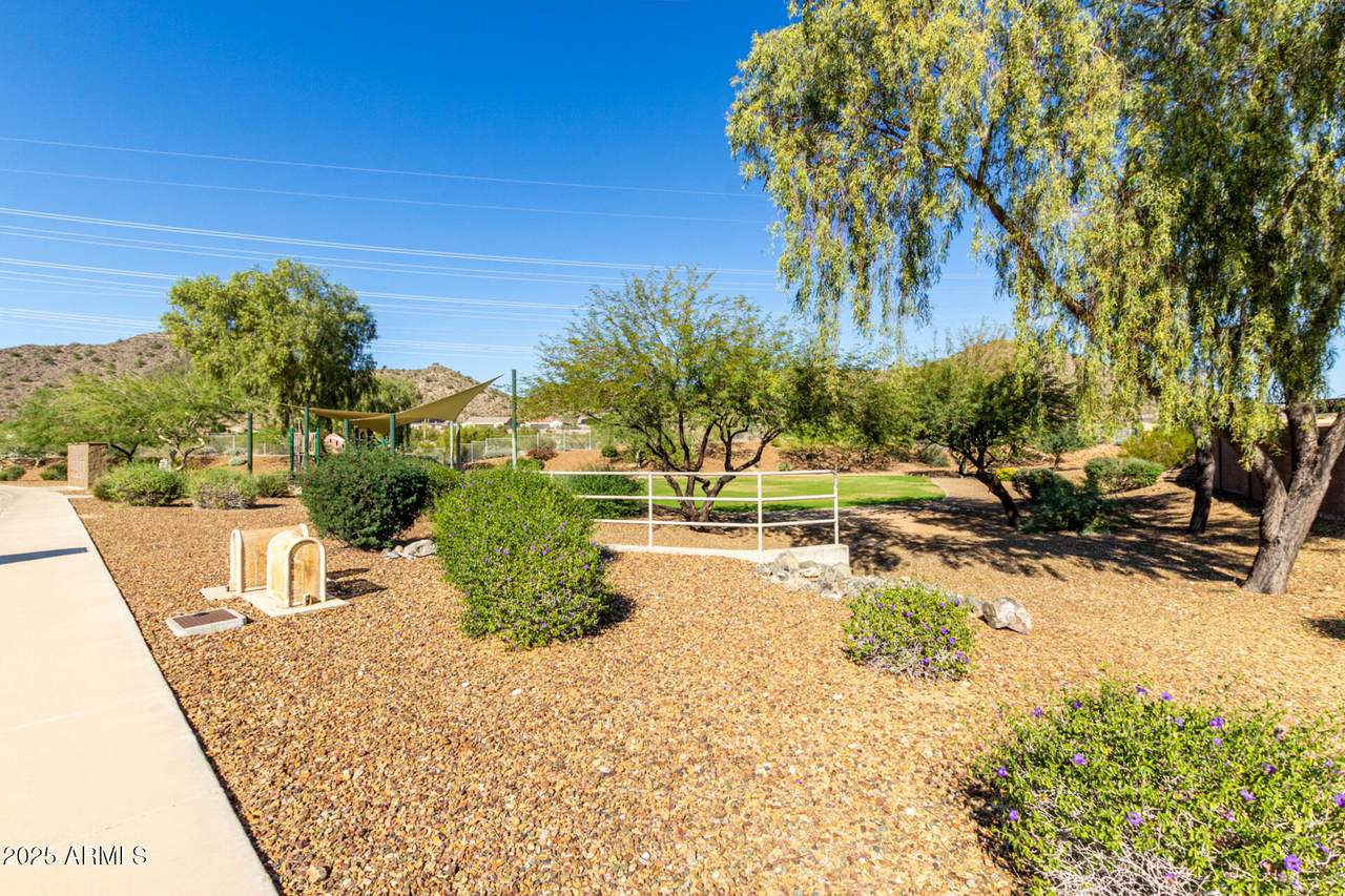 8674 Villa Lindo Drive - Photo 1