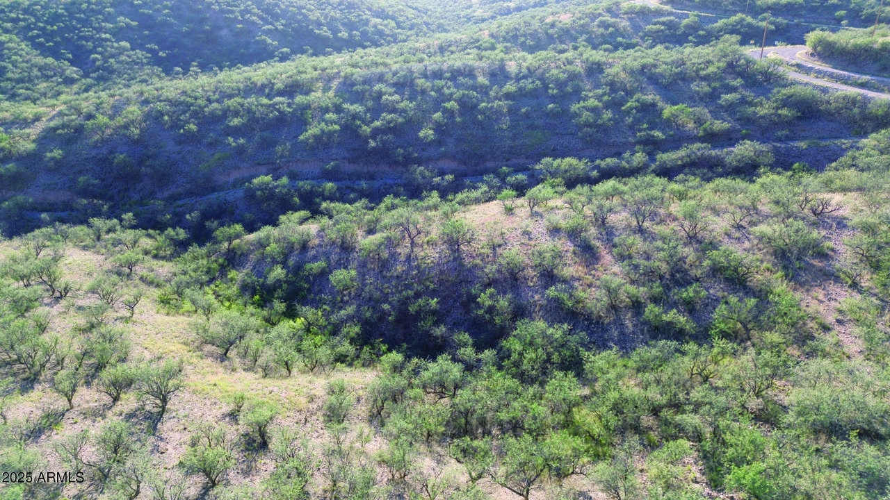 1190 Calle Chaparral - Photo 1