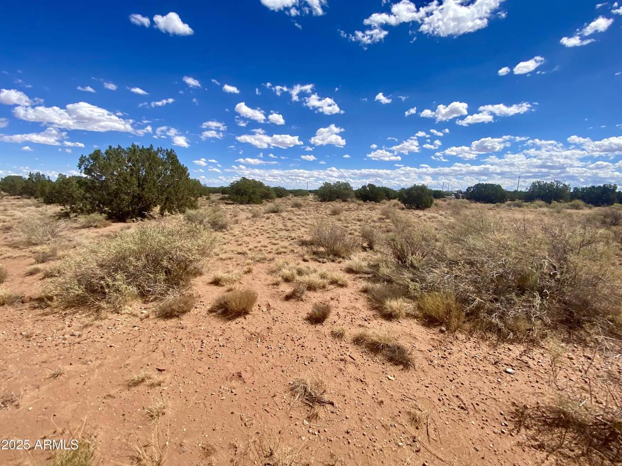 4577 Pinto Road - Photo 1