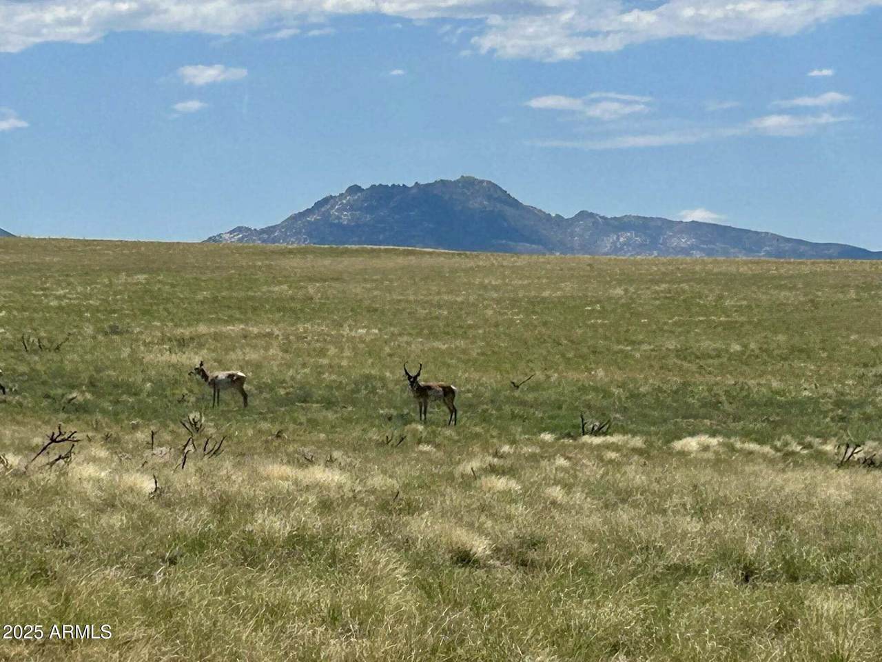 40 A1 Norma Rd - Photo 1