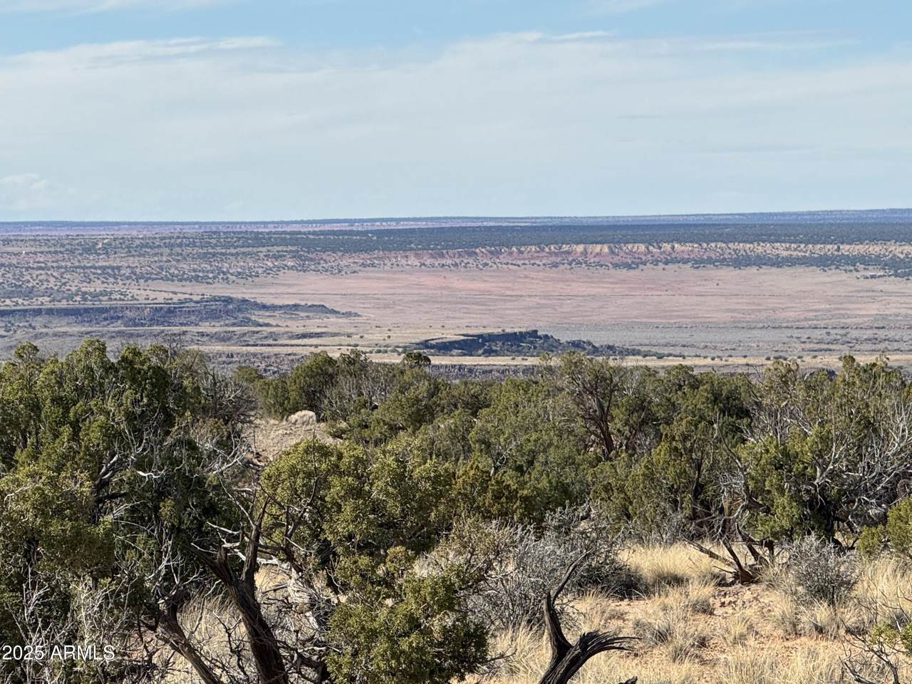 Lot 62 Sierra Highlands Ranch - Photo 1