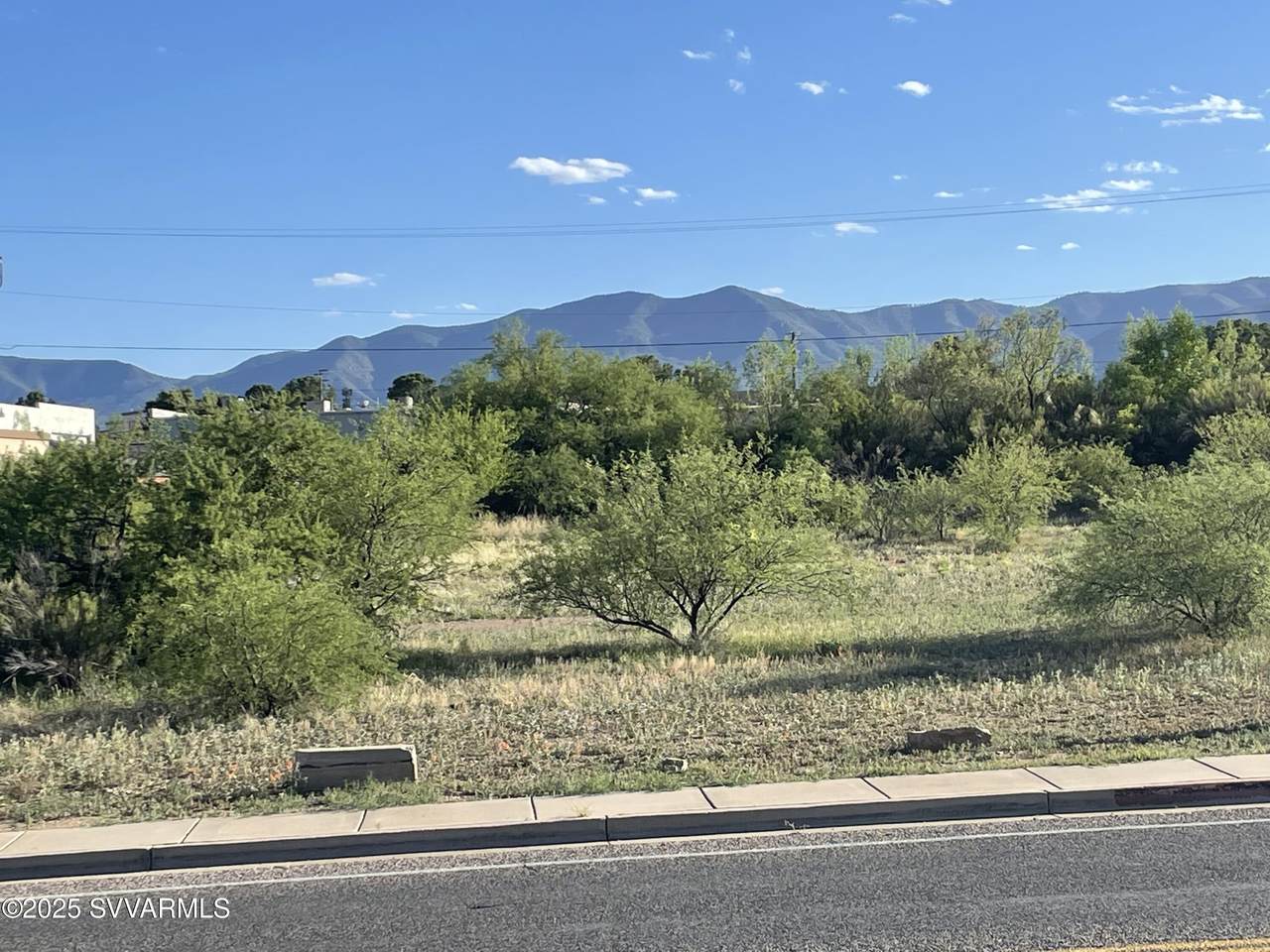 842 Cove Parkway - Photo 1