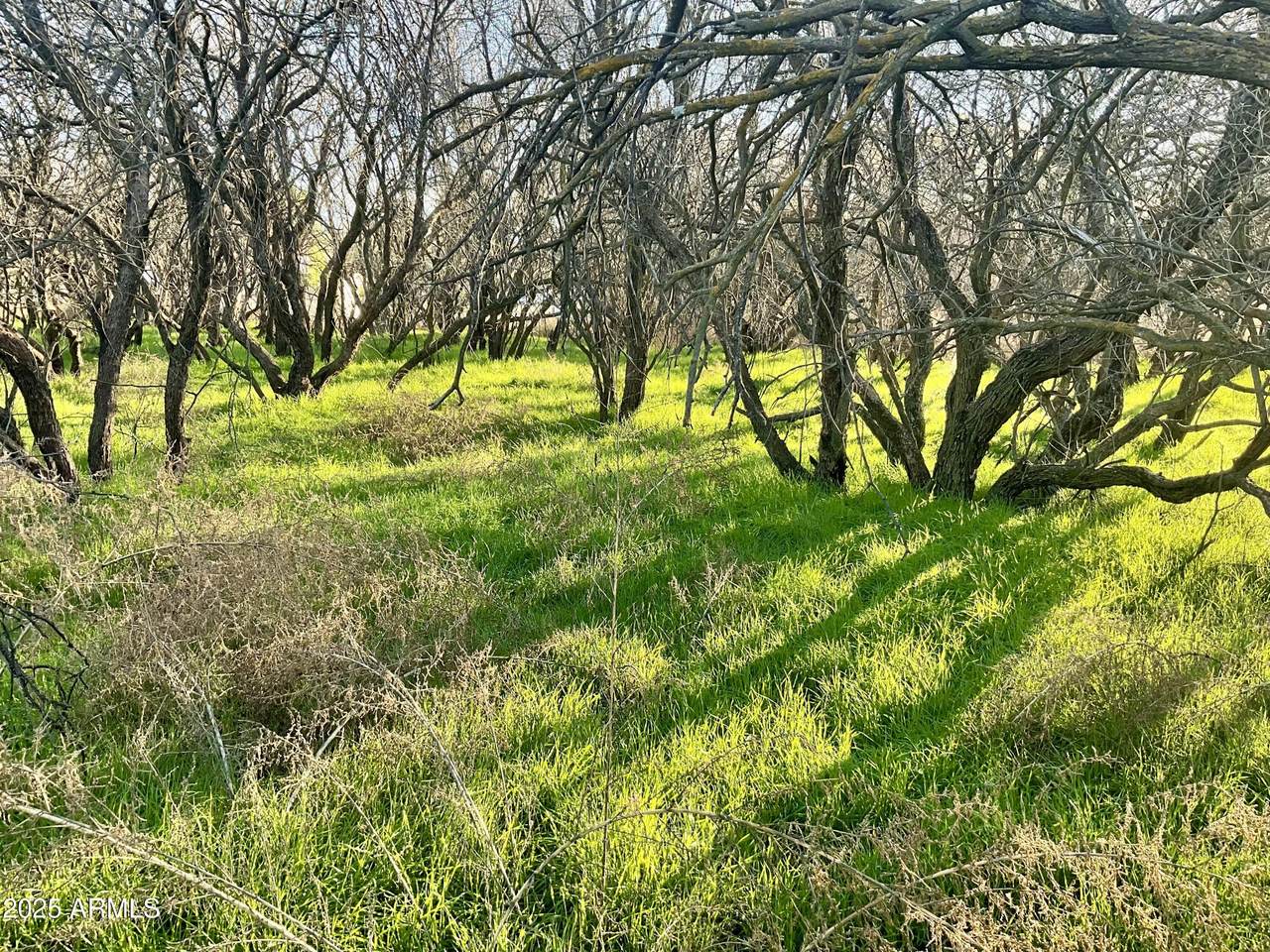 036L Caitlin Lane - Photo 1