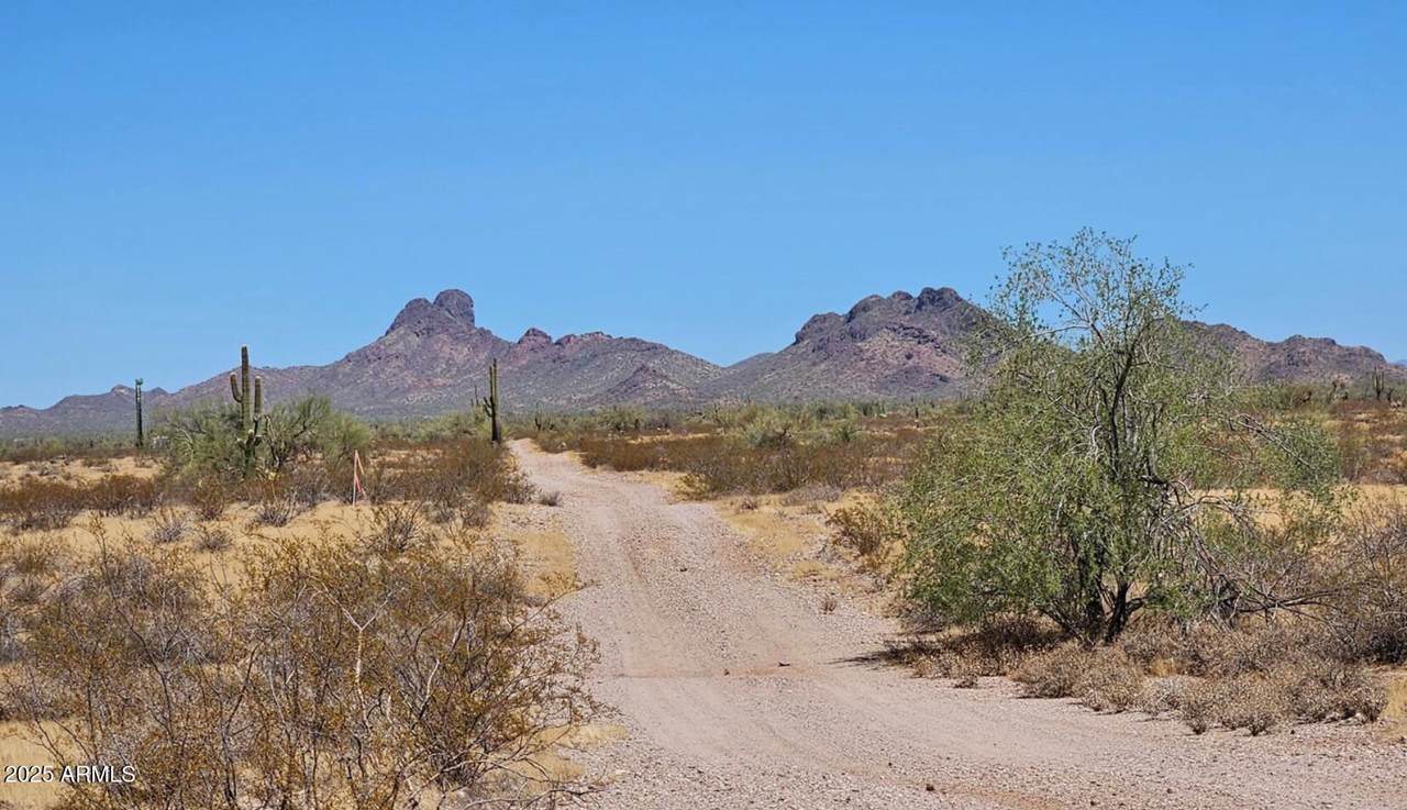 0 307th Avenue - Photo 1