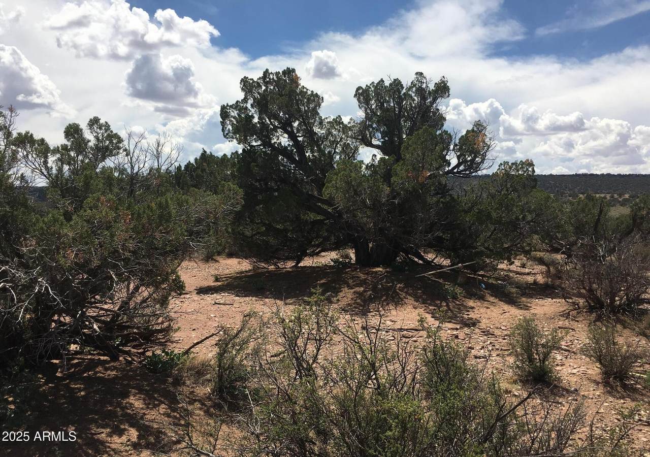 4266 Bunkhouse Road - Photo 1