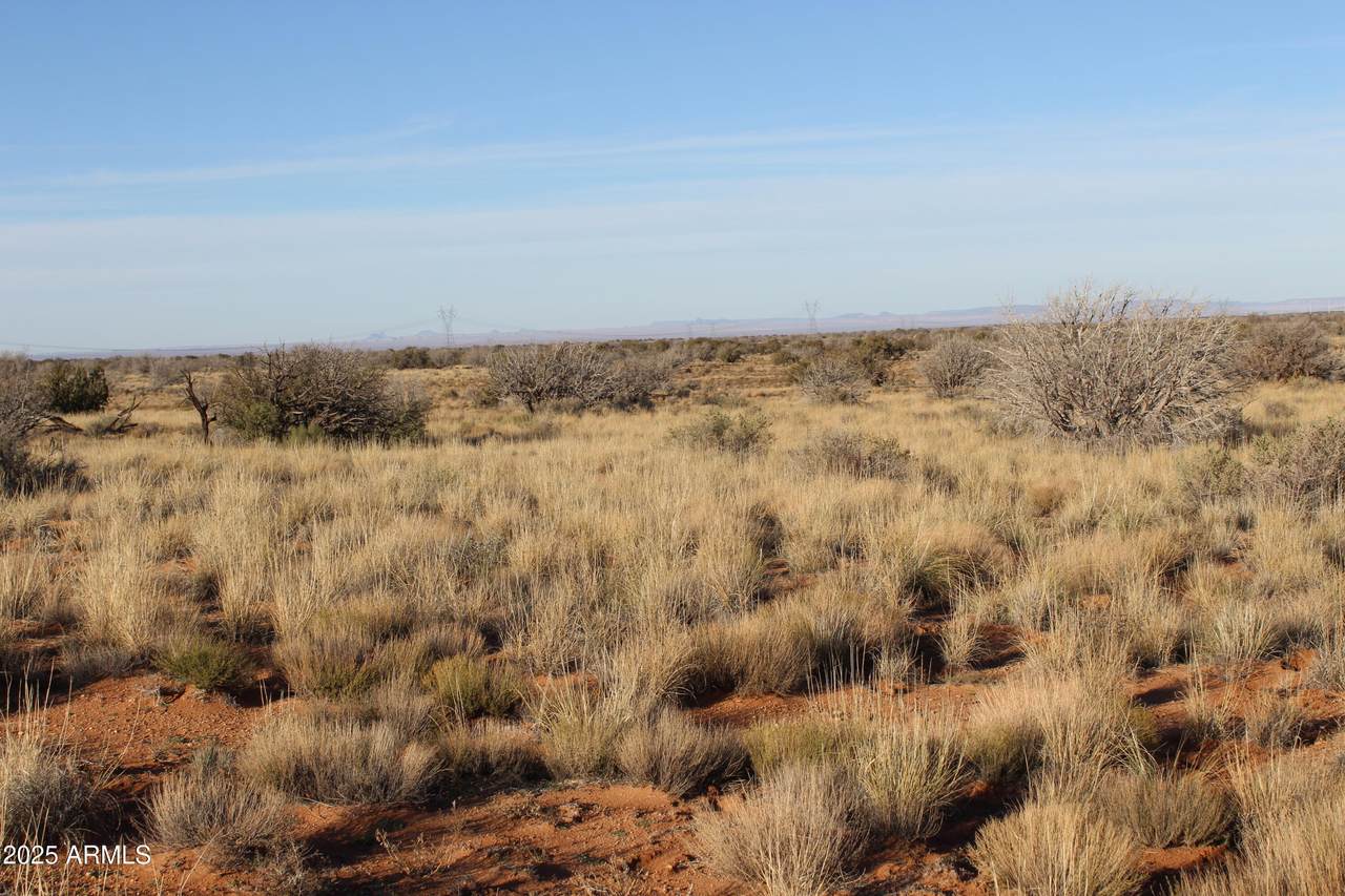 Lot 224 Ccr  Unit 2 - Photo 1