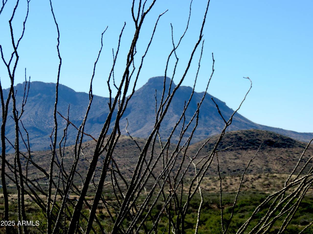 TBD Walnut Springs Road - Photo 1