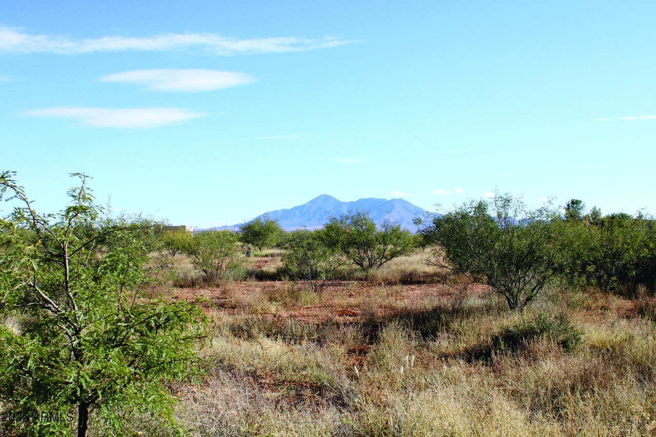 10300 Vista Monanas Road - Photo 1