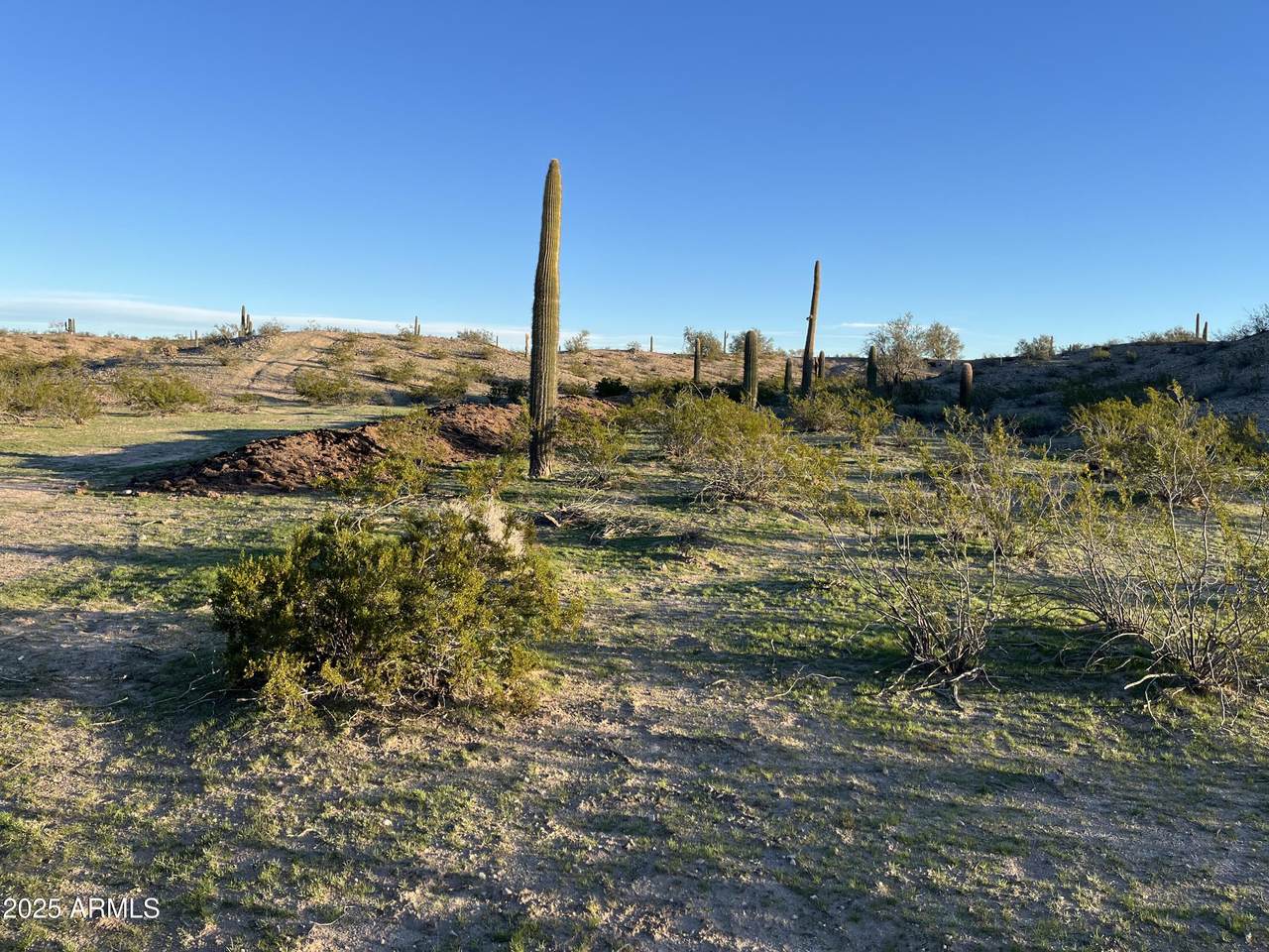 3705 327TH Drive - Photo 1