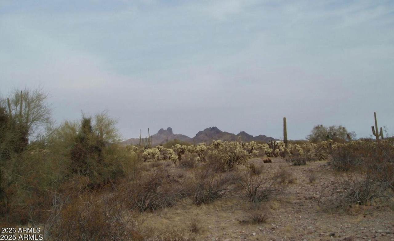 307000 315th Avenue - Photo 1