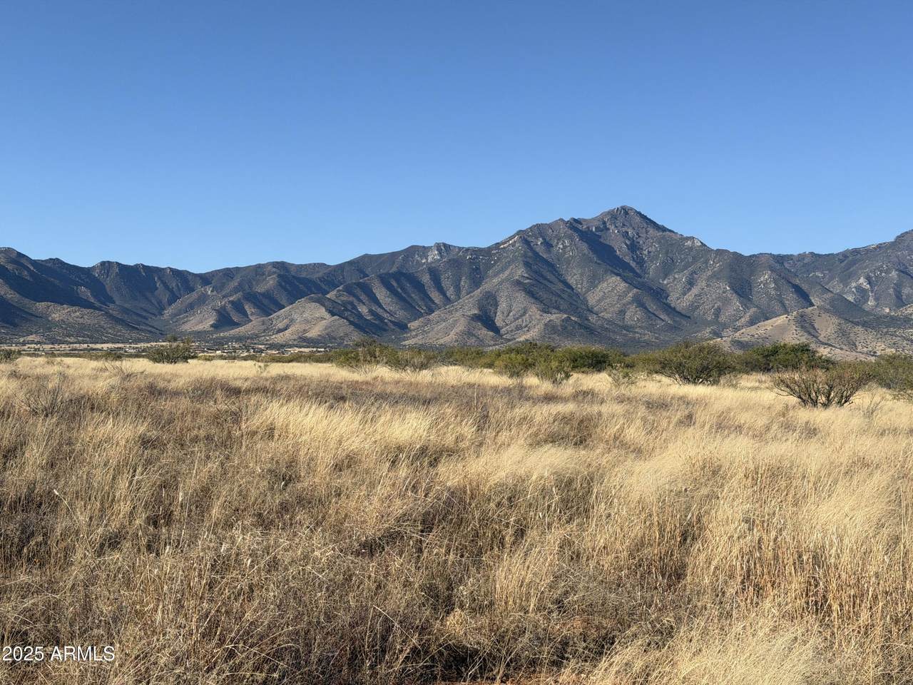 TBD Rio Lobo Trail - Photo 1