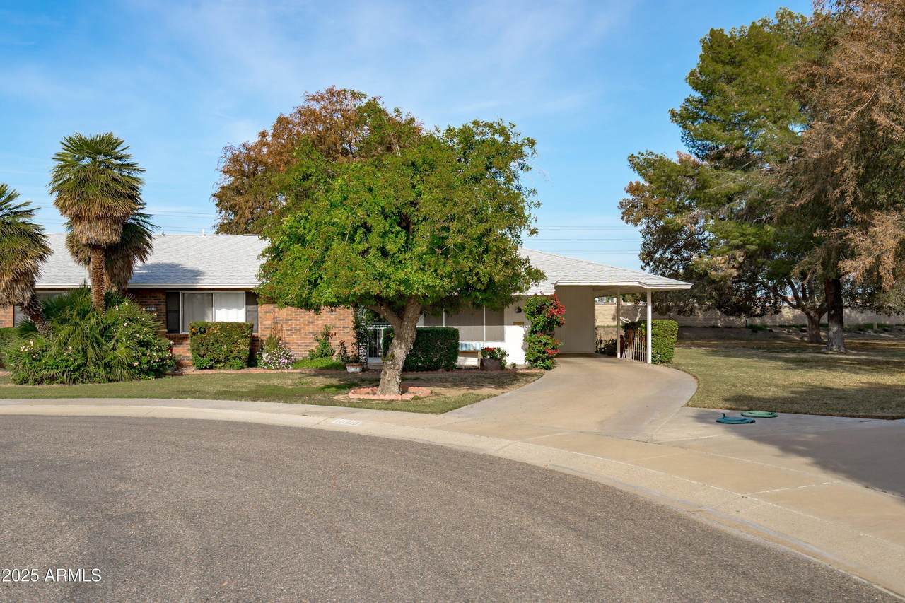 10410 Campana Drive - Photo 1