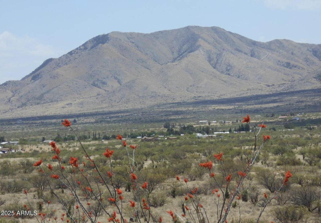 TBD Little Wing Road - Photo 1