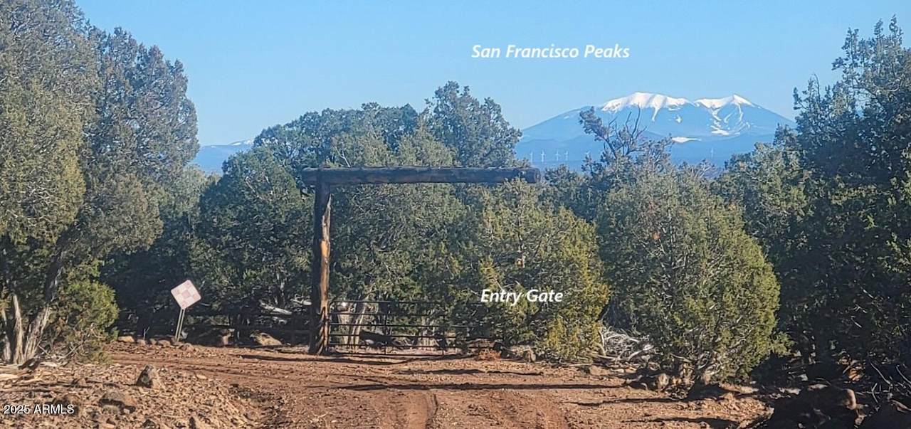 12120 9 Shooter - Photo 1