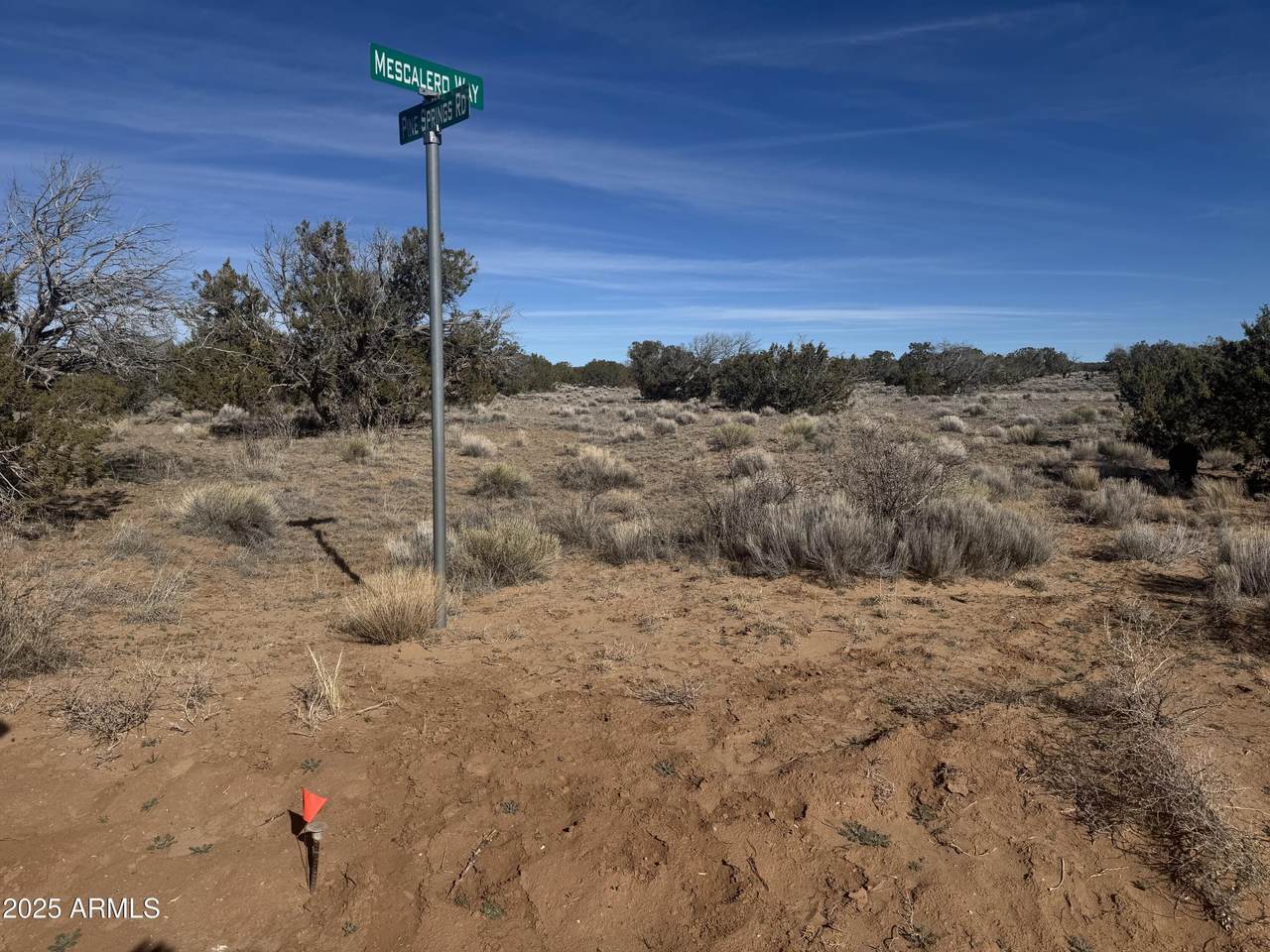 Lot 98 Woodland Valley Ranch - Photo 1
