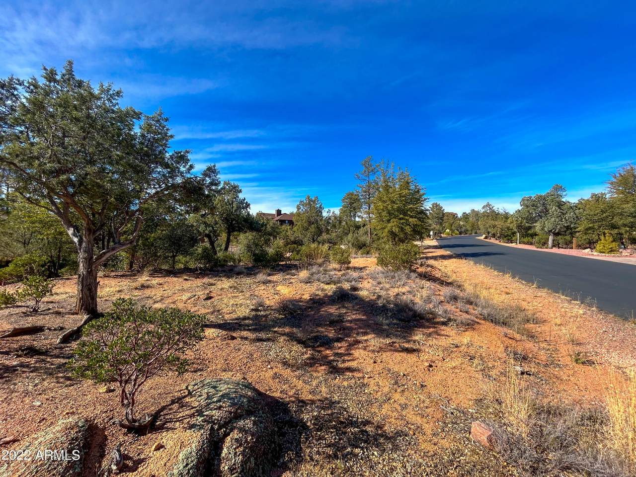 2319 Scarlet Bugler Circle - Photo 1