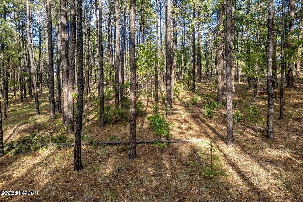 15 County Road 2083 - Photo 1