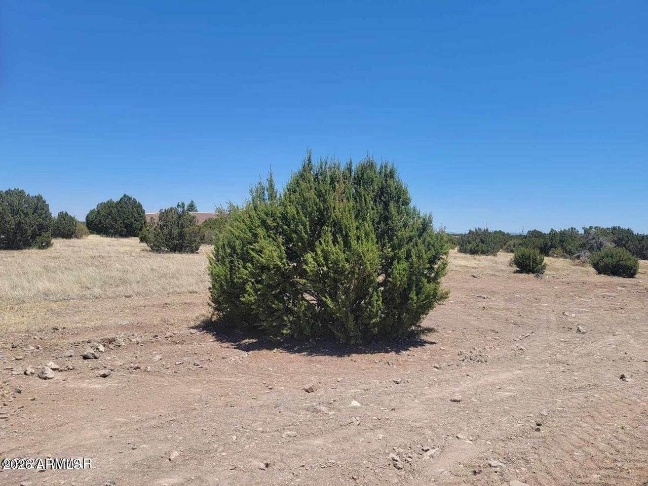 8430 Lake View Drive - Photo 1