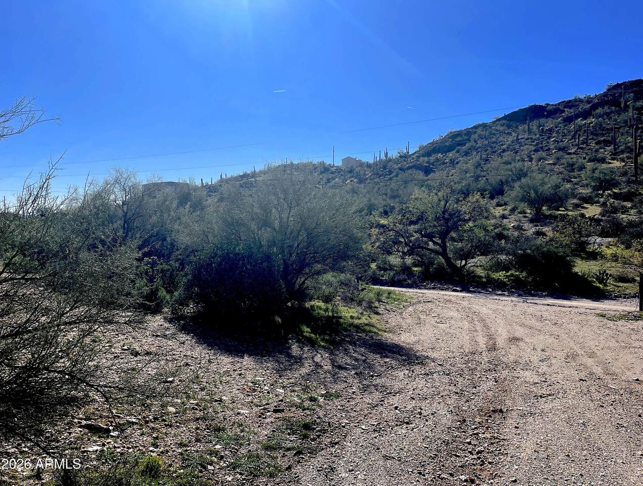 ''000'' Elephant Butte Road - Photo 1