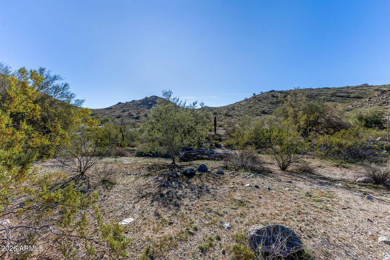 3542 Pepper Grass Way - Photo 1