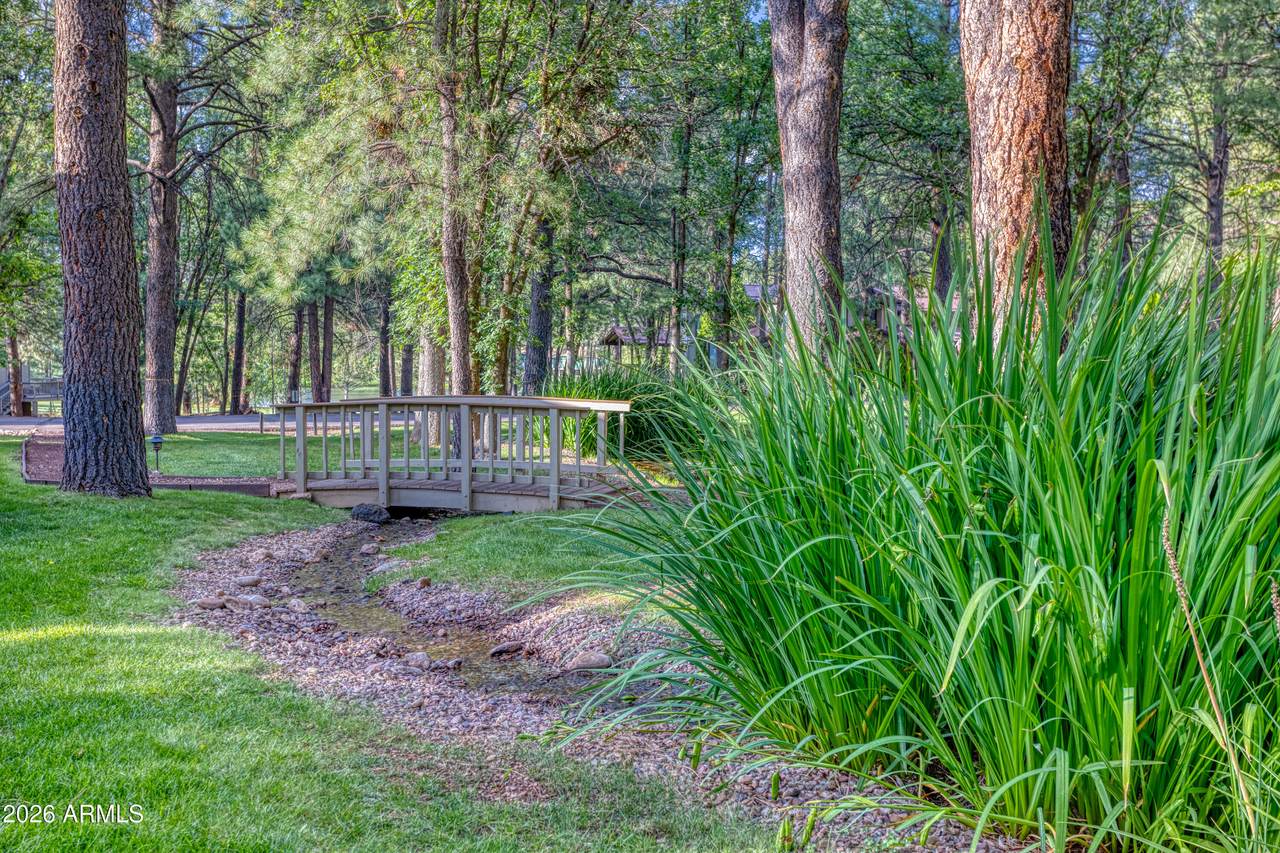 3792 Crown Dancer Drive A - Photo 1