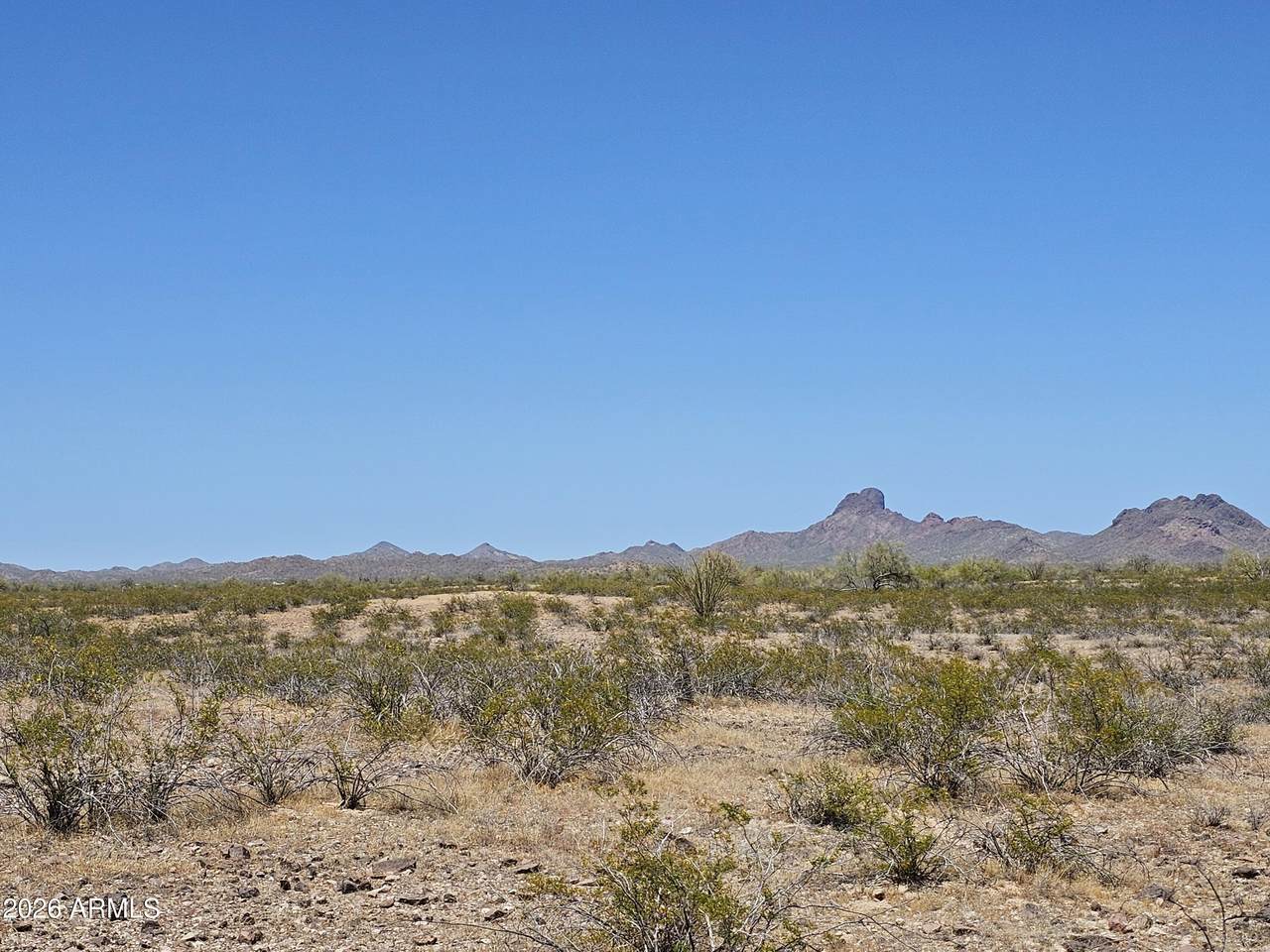 0 Dove Valley Road - Photo 1