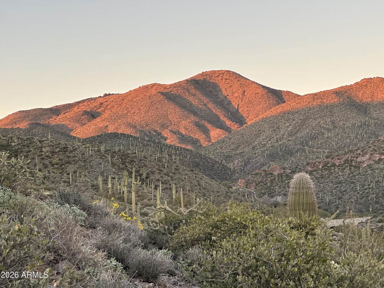 43252 Chiricahua Pass - Photo 1