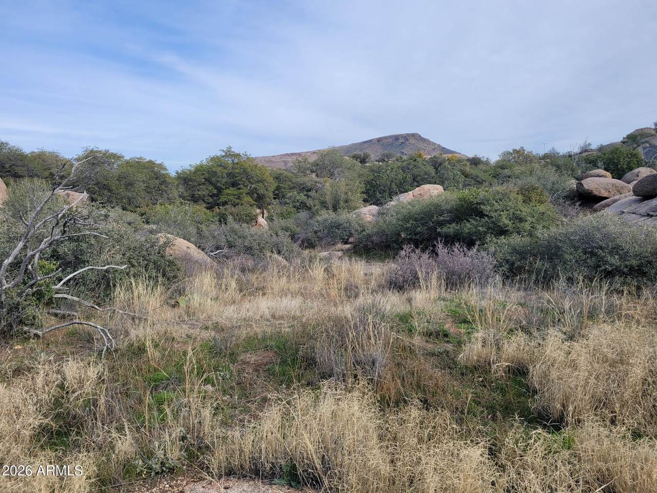 23310 Mountainaire Drive - Photo 1