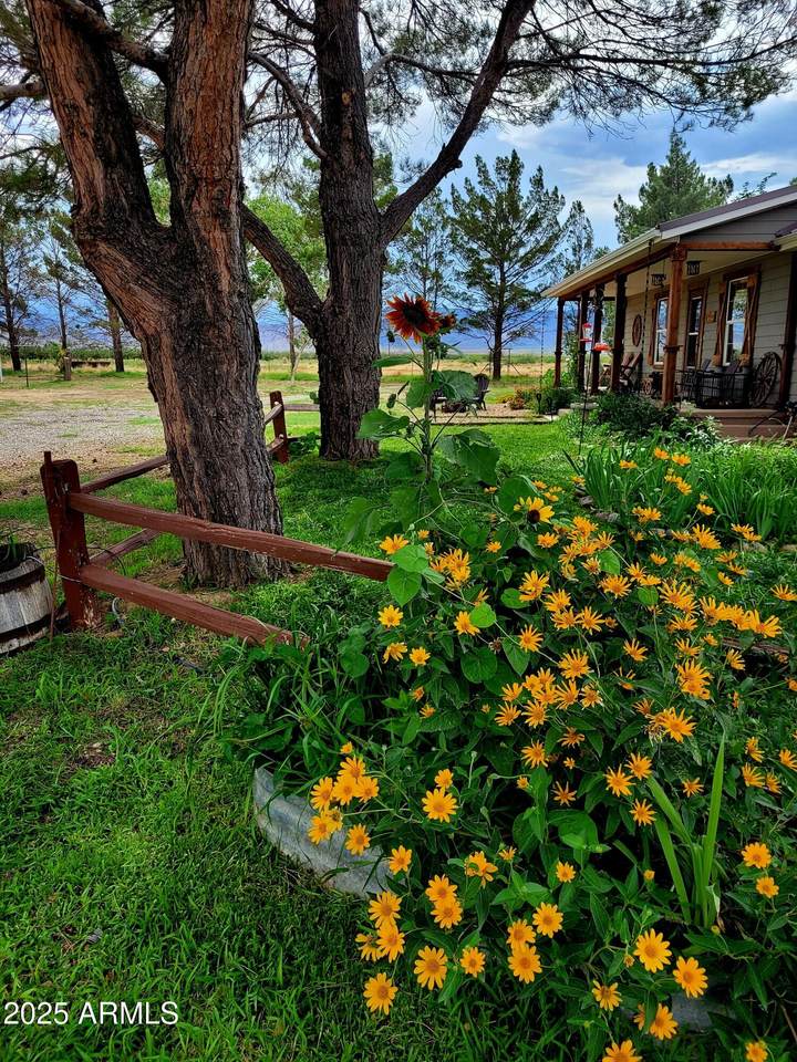 8255 Fort Grant Road - Photo 1