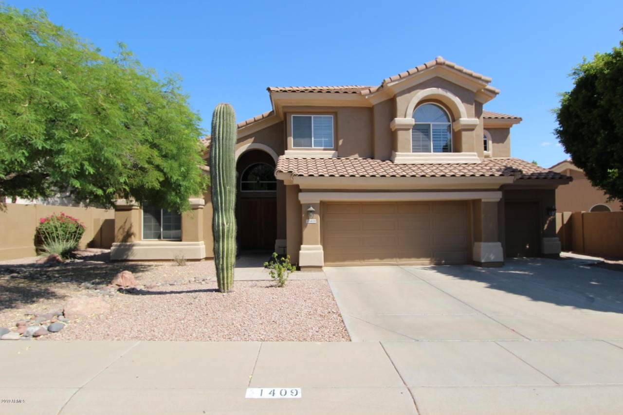 1409 Desert Flower Lane - Photo 1