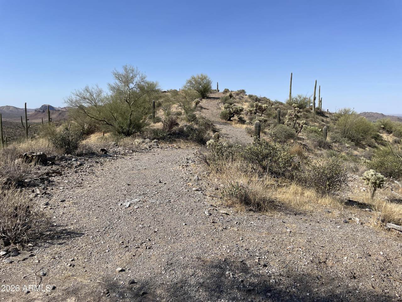 3246 Silver Tip Trail - Photo 1