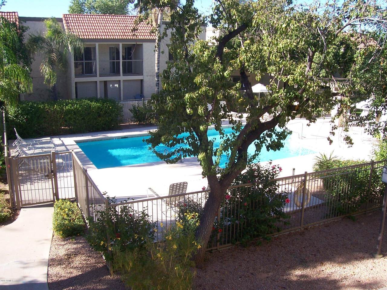 8260 Arabian Trail - Photo 1