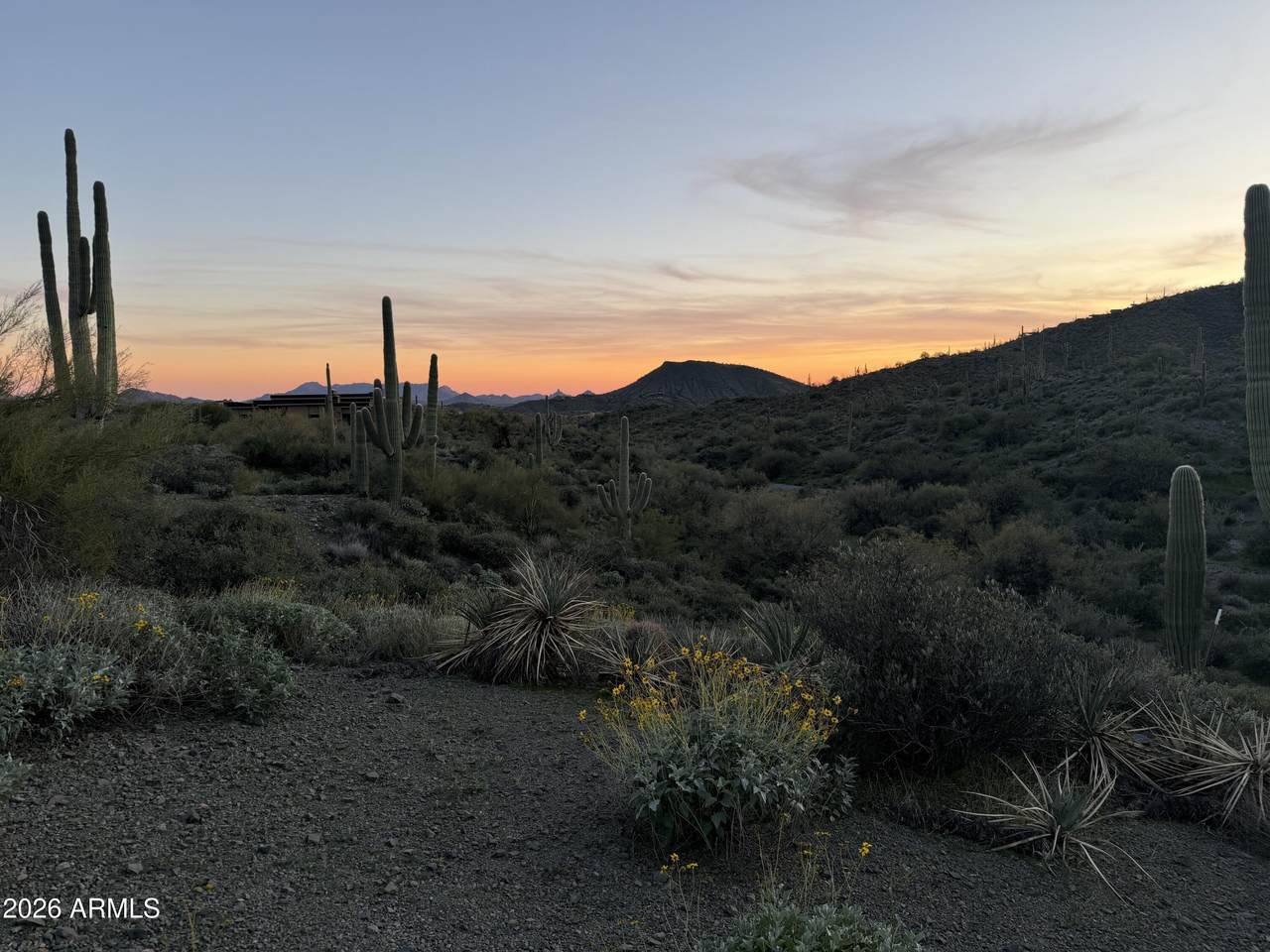 42382 Chiricahua Pass Pass - Photo 1
