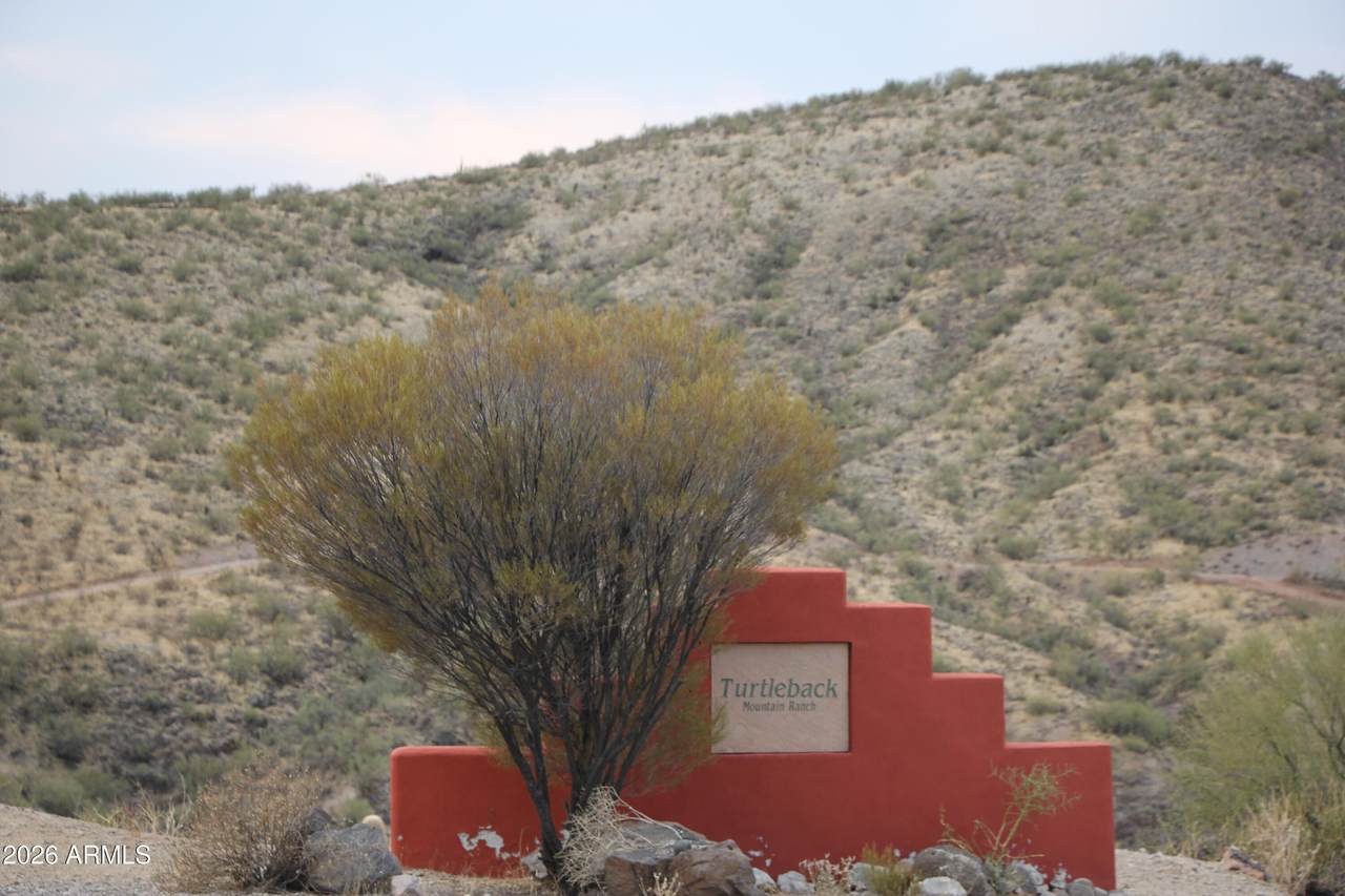 0 Mountain Side Loop Loop - Photo 1