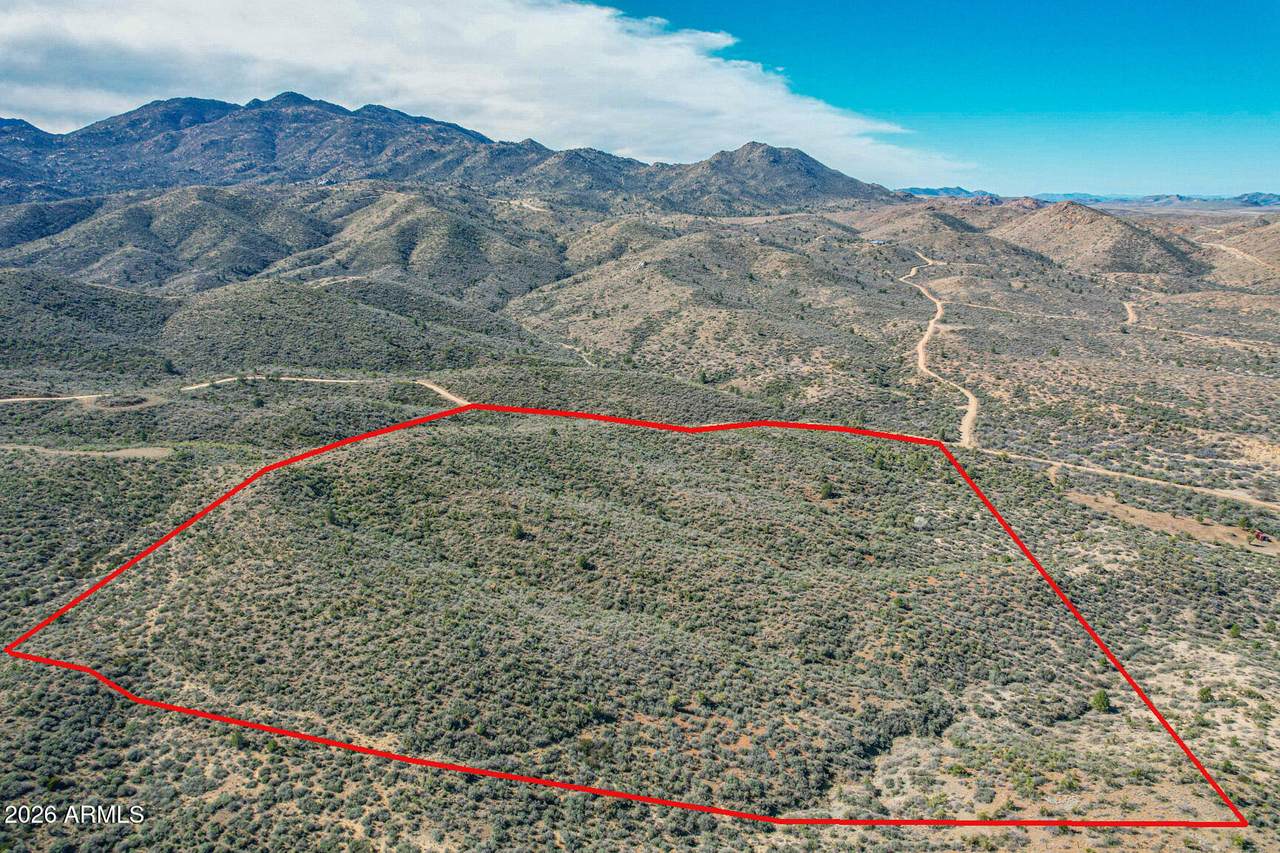 XXX Ruger Ranch Road - Photo 1