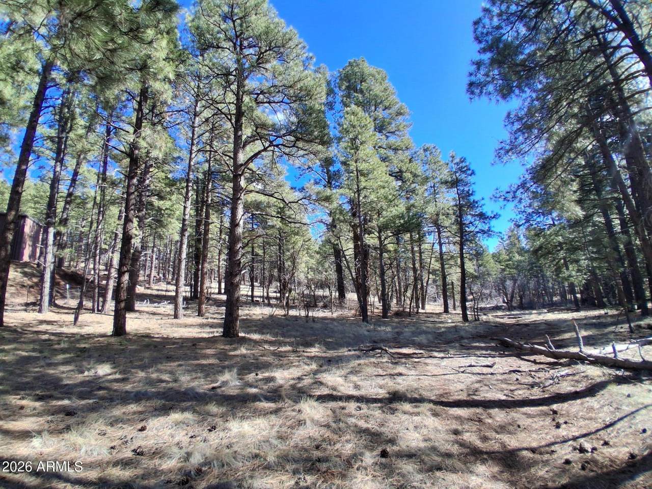 13696 Kings Deer Road - Photo 1