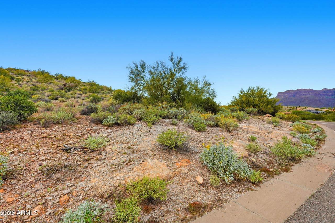 3672 Vista Loop - Photo 1