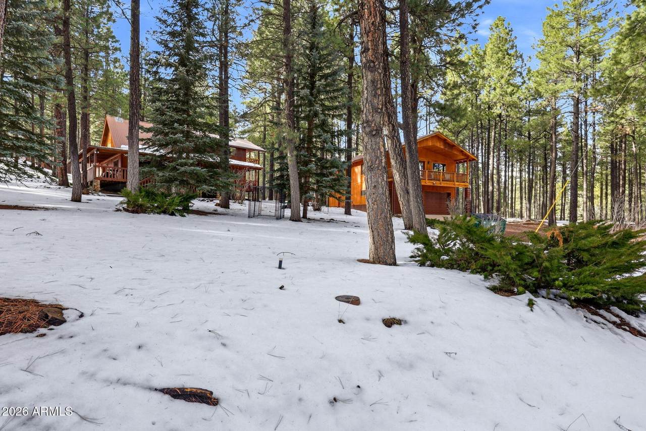 1626 Quail Trail - Photo 1