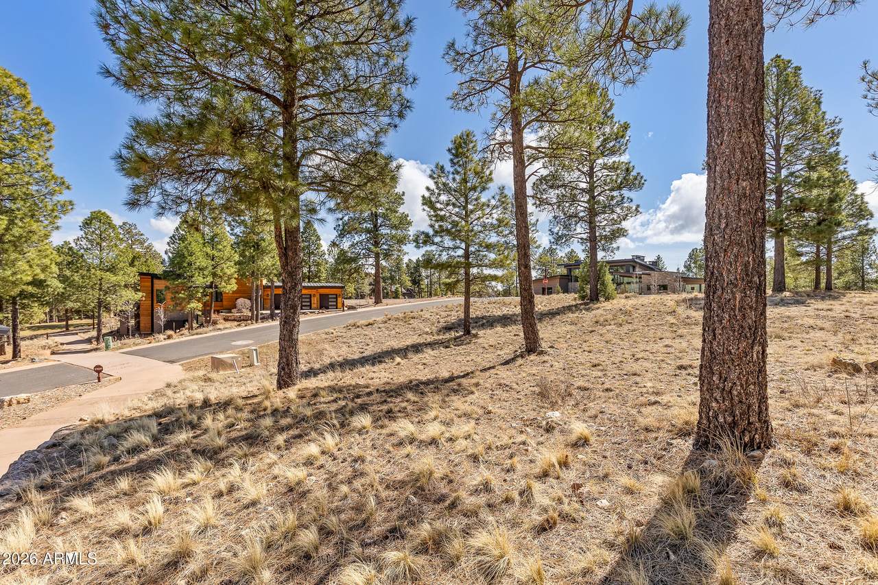 3401 Brown Sage Court - Photo 1