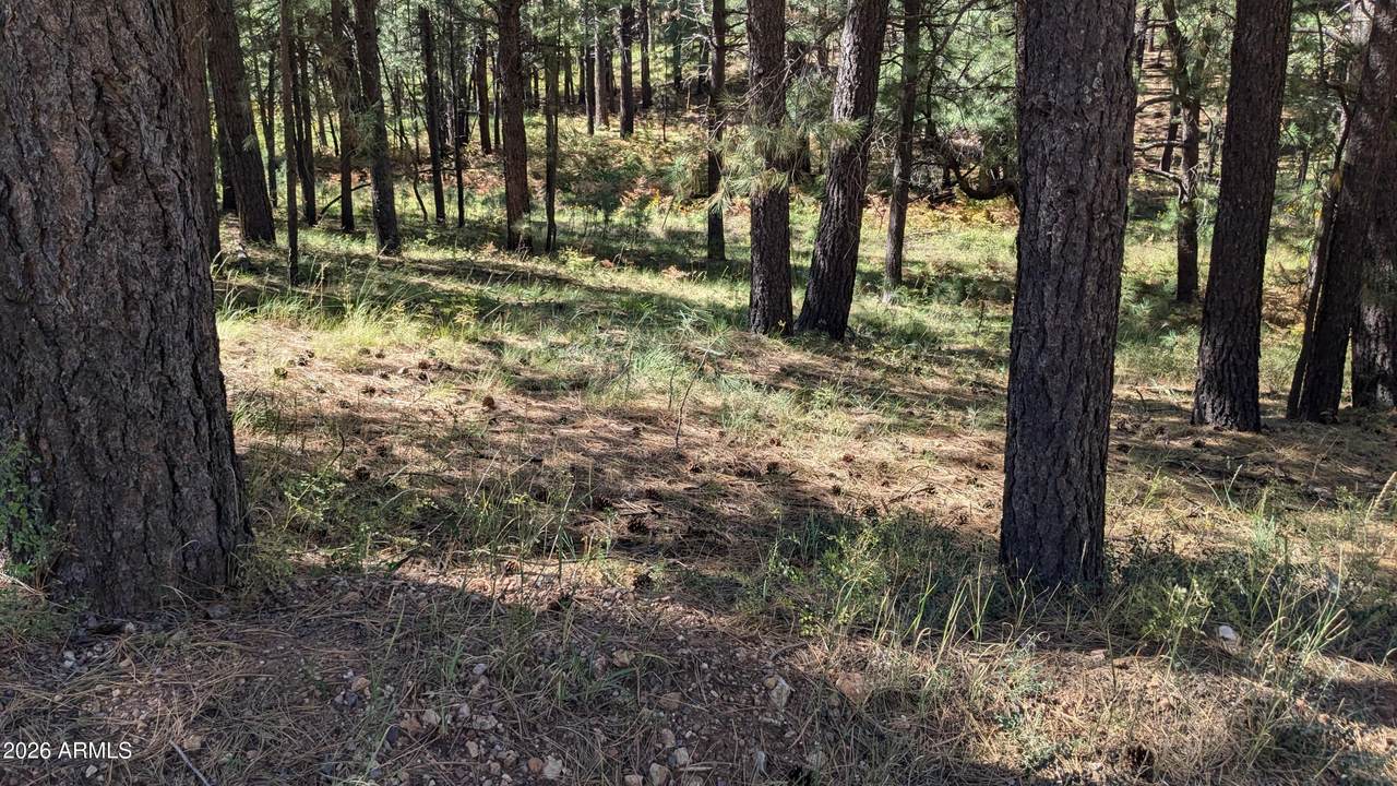 1878 Sheep Springs Road - Photo 1