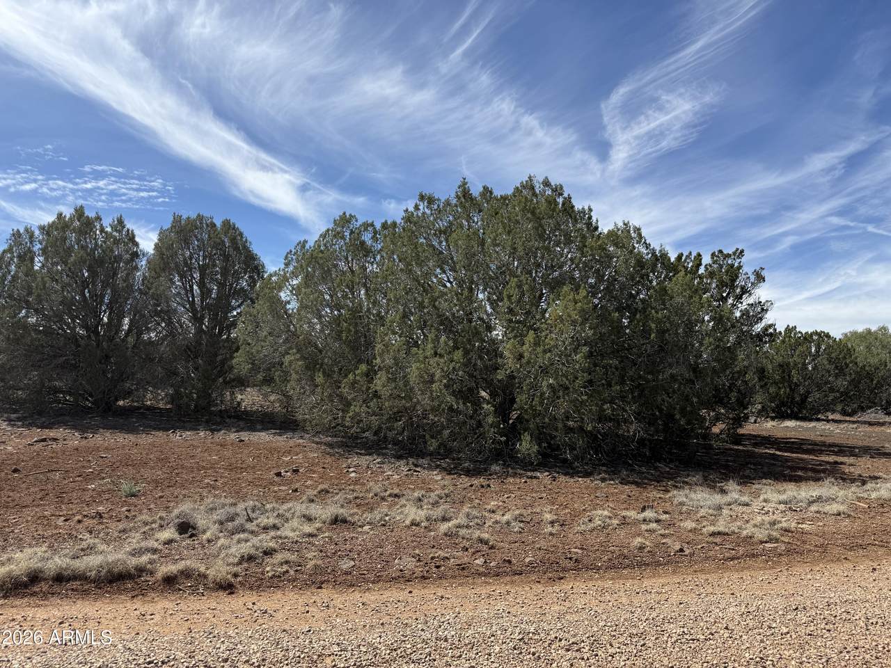 8389 Bear Meadow Drive - Photo 1