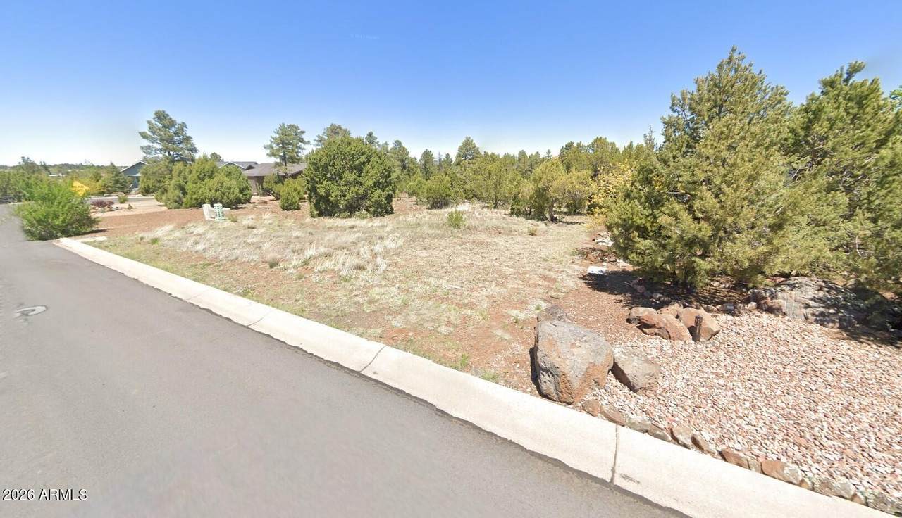 2020 Bluff Ridge Road - Photo 1