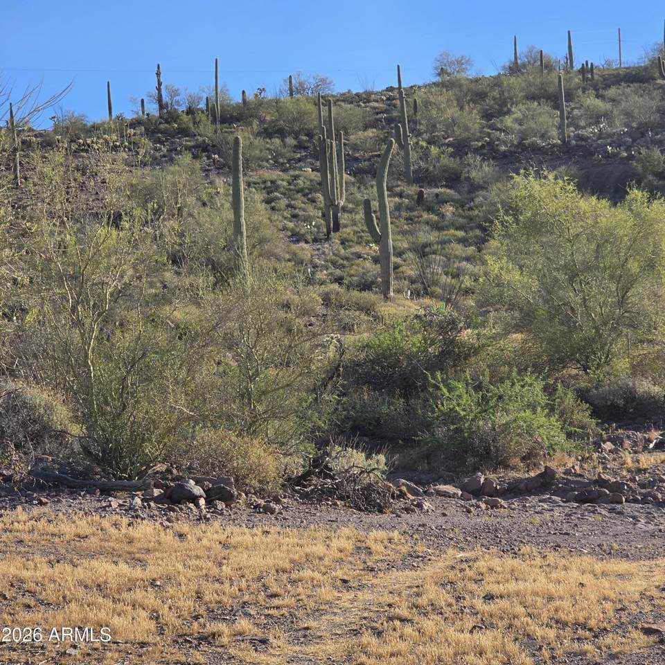 0 Elephant Butte - Photo 1