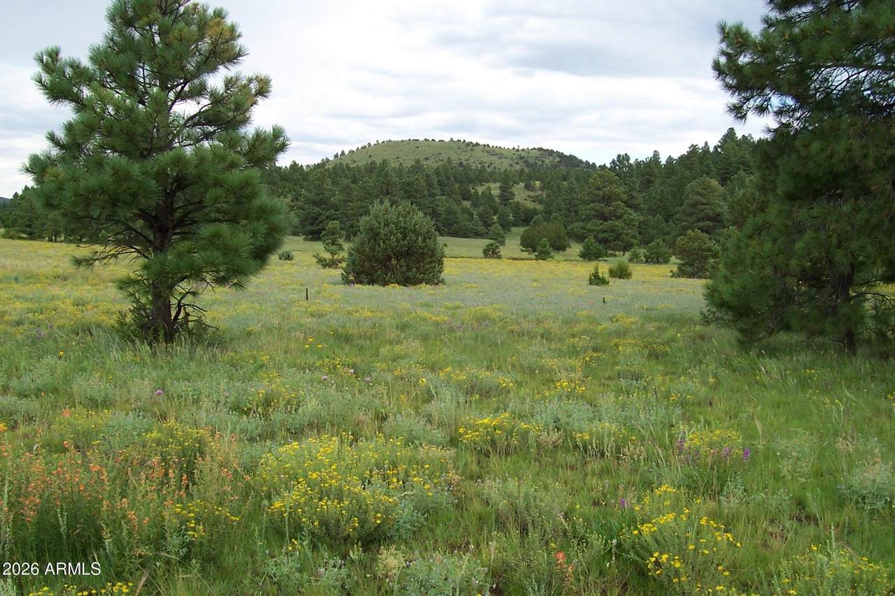 Lot 5 Red Cabin Ranch Unit II - Photo 1